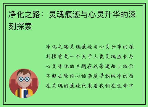 净化之路：灵魂痕迹与心灵升华的深刻探索
